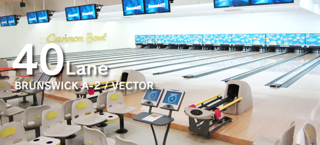 出典：岩屋キャノンボウル公式サイト