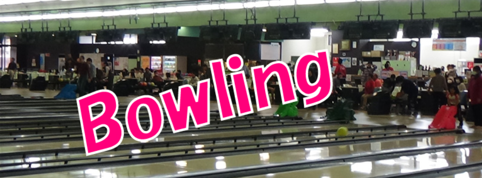 出典：賀茂ボール公式サイト